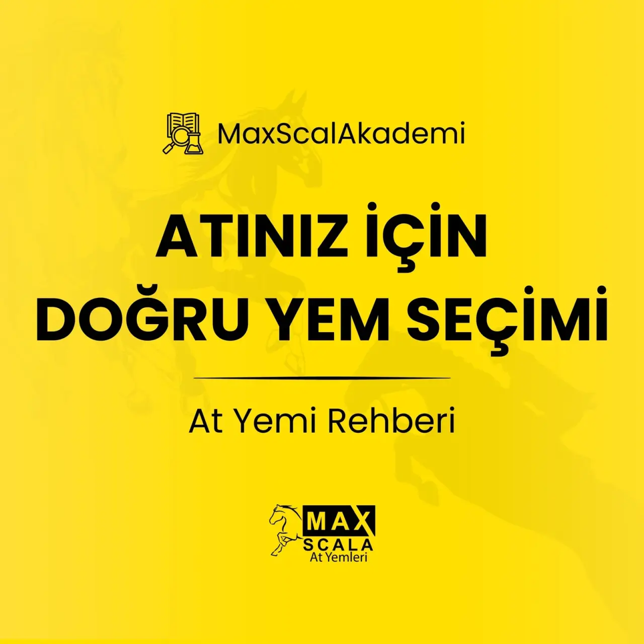 Atınız İçin Doğru Yem Seçimi: At Yemi Rehberi | MaxScalAkademi